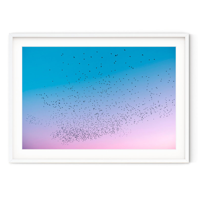 Starlings At Dusk, 29" H x 40" W, White