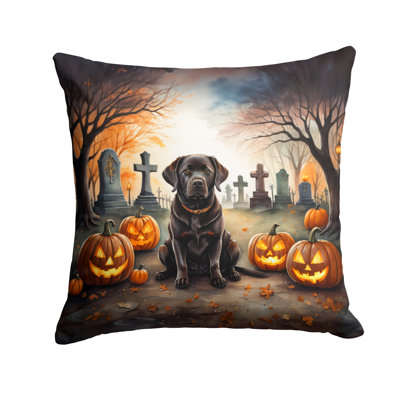  Housse et insert de coussin décoratif en polyester