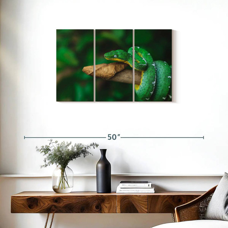 Emerald Tree Snake, 20" H x 33" W