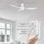 Ventilateur de plafond 52 po avec lumières Edilberto-810516629