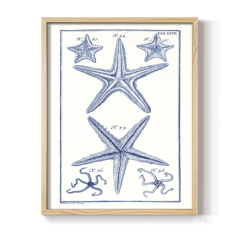 Blue Sea Stars I, reproduction encadrée - bois massif, H 11 po x l 9 po