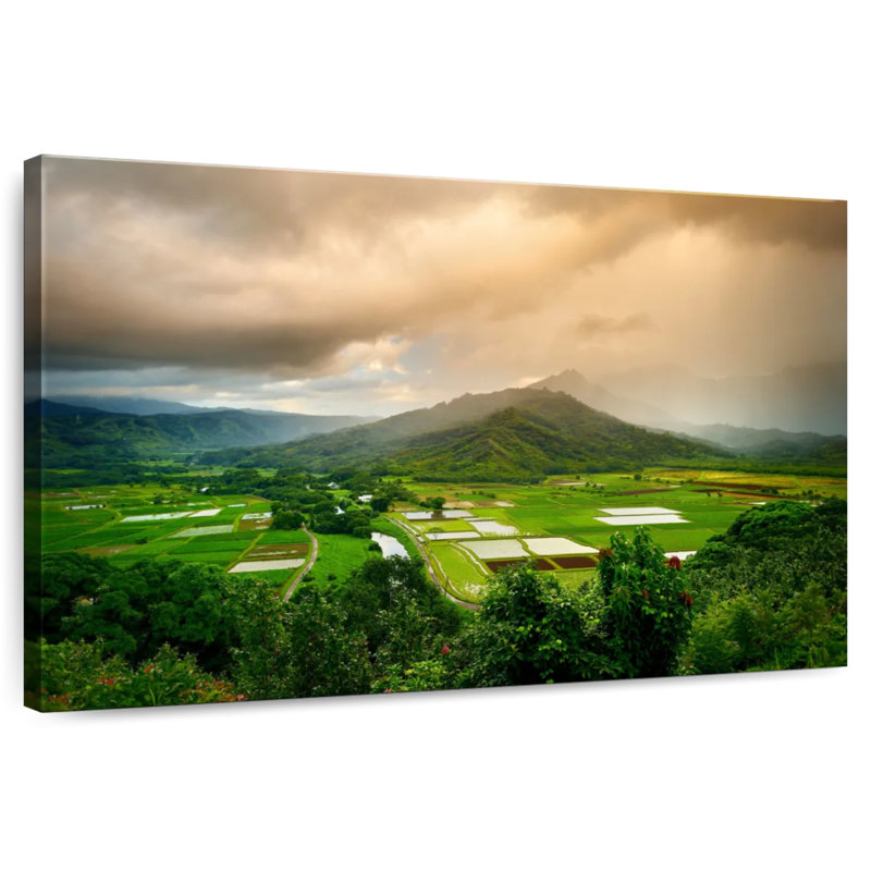 Alvord Hanalei Valley Fields, 34" H x 51" W