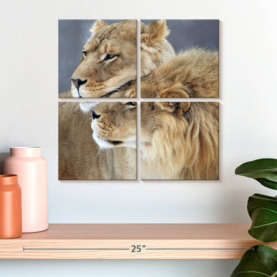 Lion And Lioness Love