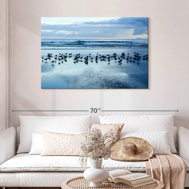 Gillard Las Lajas Beach Gulls