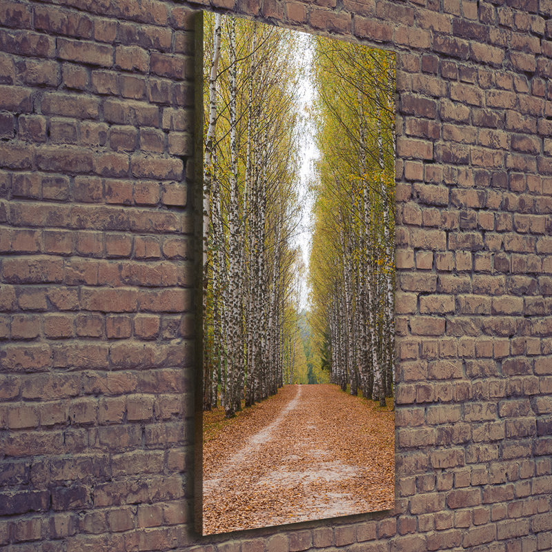 Birch Forest - Wrapped Canvas Print