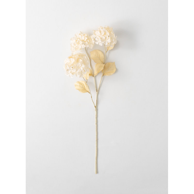 Hortensias