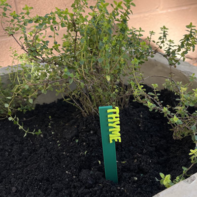 Herb Seed & Plant Markers - Indoor/outdoor Herb Garden Stakes - Elegant Herb Plant/seed Labels - Durable Plant Tags For Pots - Classy Design For Farmhouse/greenhouse – Individual Sticks - Thyme