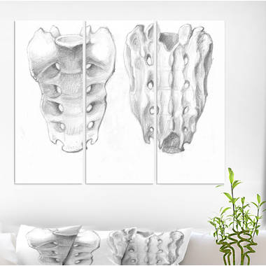 Bless international Sacral Bone Double View On Canvas 3 Pieces Print