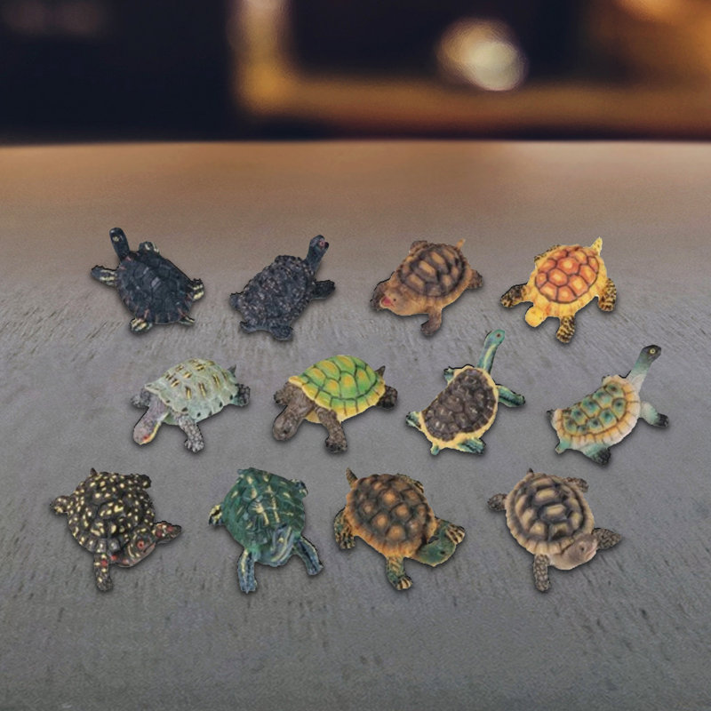 Mini-tortue de 12 pièces Adelaide