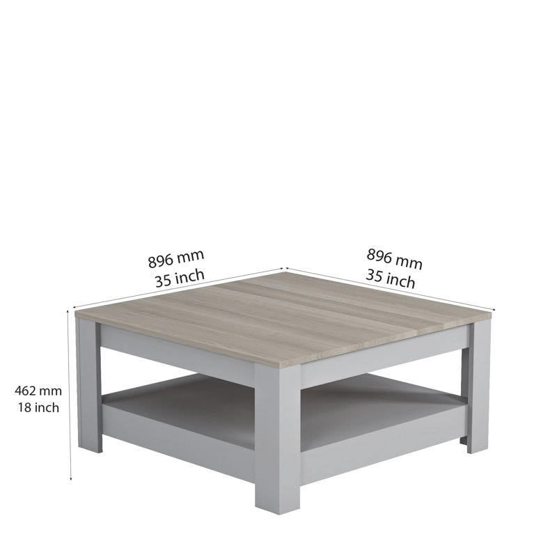 Albertjames Coffee Table with Storage, Grey