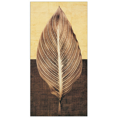 Seba - No Frame Print on Wood