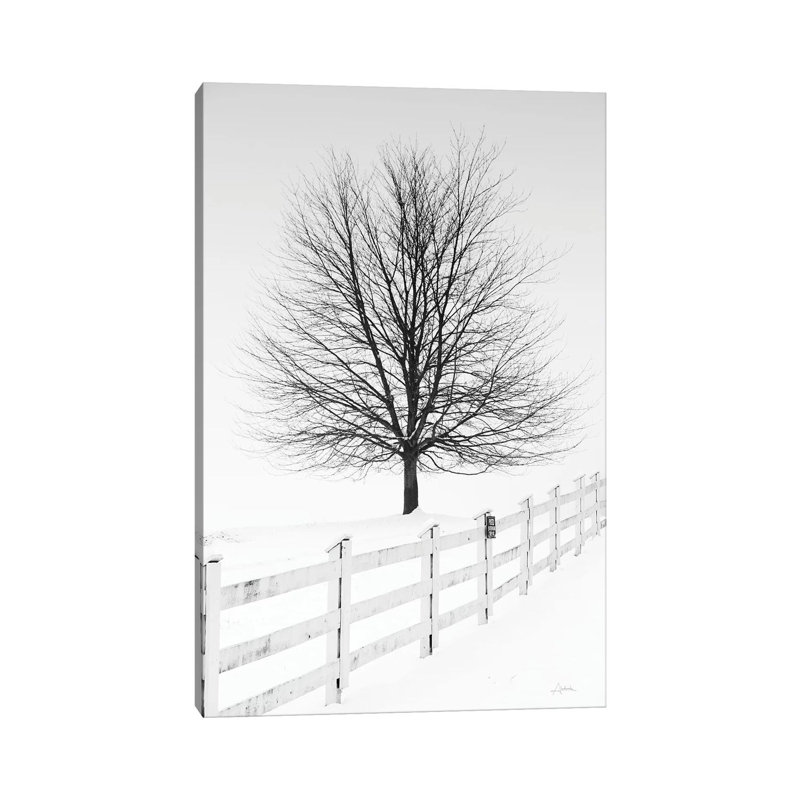 Along the Lane III 1 Piece Wrapped Canvas Wall Art, 20.32 cm H x 30.48 cm W