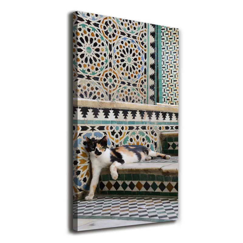 Cat In Morocco - Wrapped Canvas Print