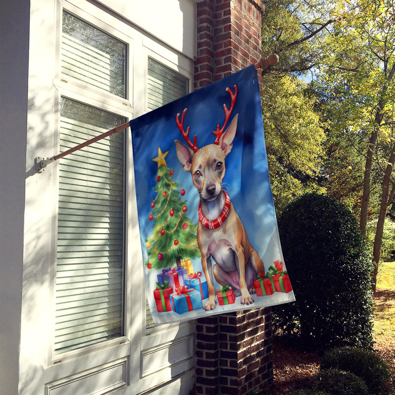 Drapeau de Noël maison de renne, Terrier américain sans poil