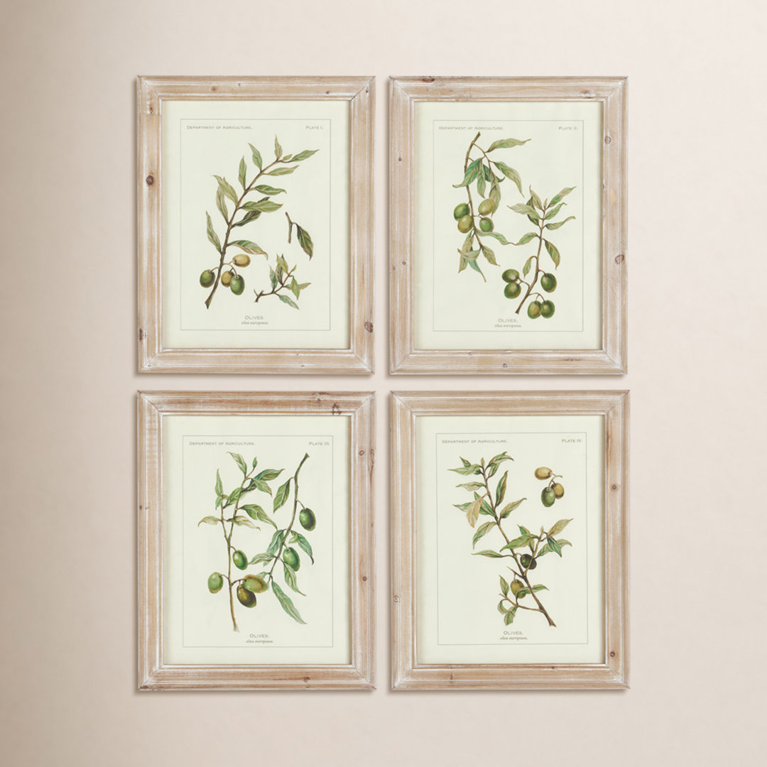 Evy " Olive Leaf Botanical " 4 - Pieces Birch Lane™