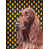 Setter irlandais 3 sélectionné
