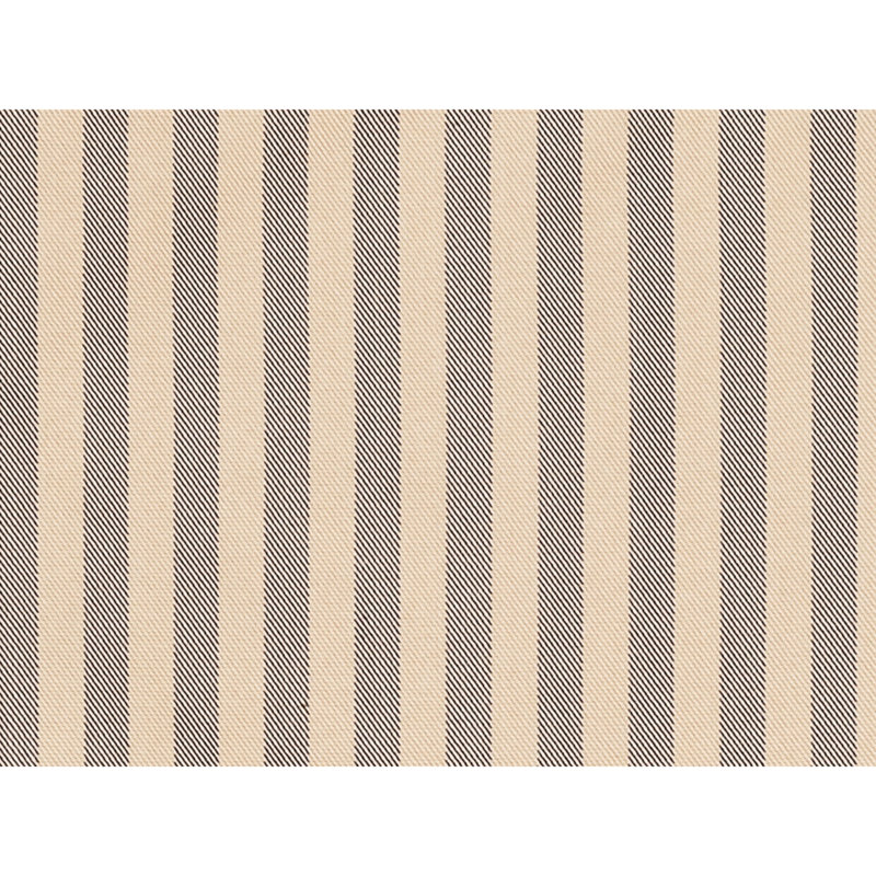 Directire Silk Fabric, Palomino