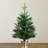 White 2' Pre-Lit Pine Christmas Tree