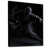 Black Floater Framed