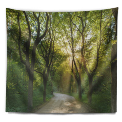 Soirée paysage dans une tapisserie de forêt verte