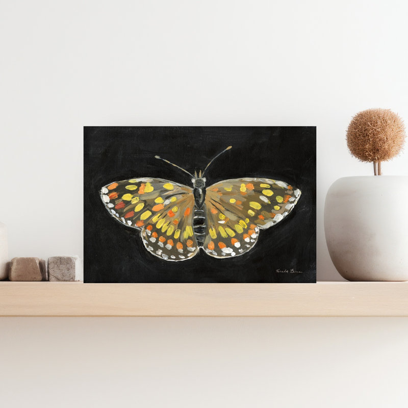 Bold Butterfly II by Farida Zaman - Print, 30.48 cm H x 45.72 cm W