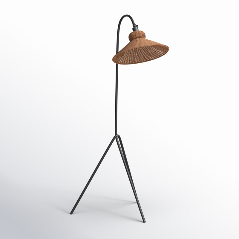 Plumeria 63.75'' Black Arched Floor Lamp