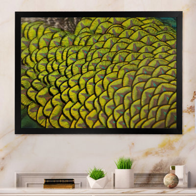 «Green Peacock Feathers II», reproduction d'art sur toile
