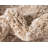 Walsenburg Oriental Indoor Rug-814469157
