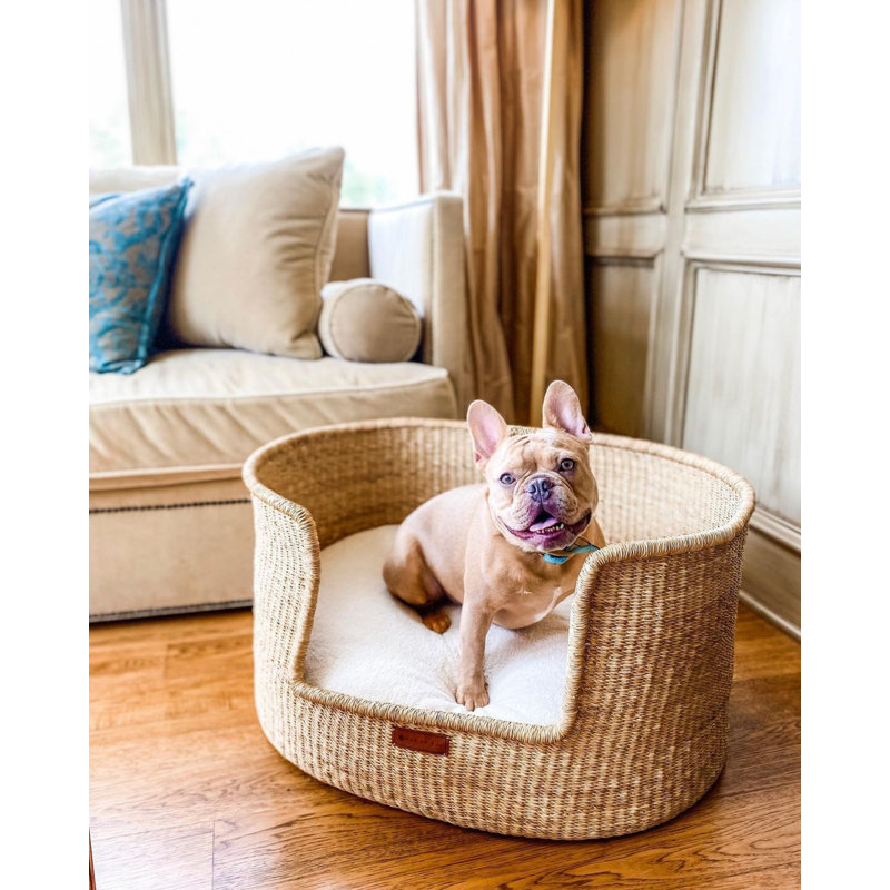 Bear Dog Bed
