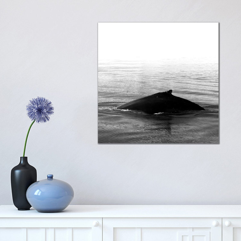 Whale Song III Black Iceland Square by Monika Strigel - Wrapped Canvas Print, 45.72 cm H x 45.72 cm W x 1.91 cm D