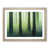 Oak Framed selected