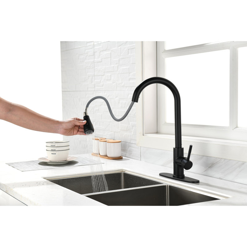 Kitchen Faucet With Pull Out Spraye