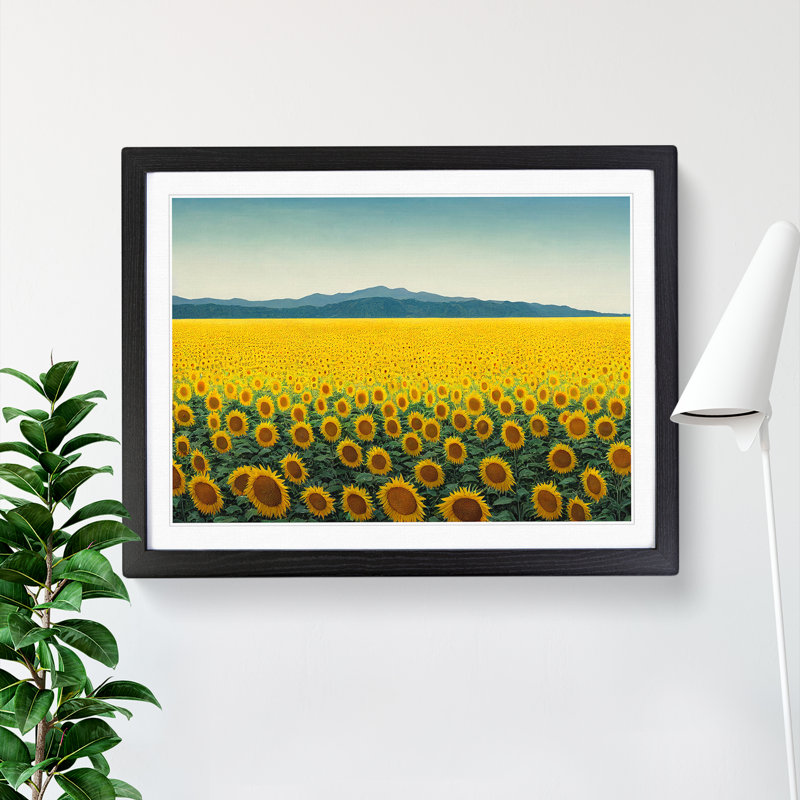 Extraordinary Sunflower Field - Single Picture Frame Print, 46cm H x 64cm W x 2cm D, Black Framed