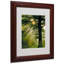 « magique tree » par kathie mccurdy,, reproduction de photo encadrée-10587577-10587580