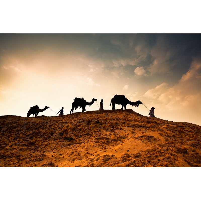 Three Men With Camels by Terrababy - Wrapped Canvas Print, 51cm H x 76cm W x 3.8cm D