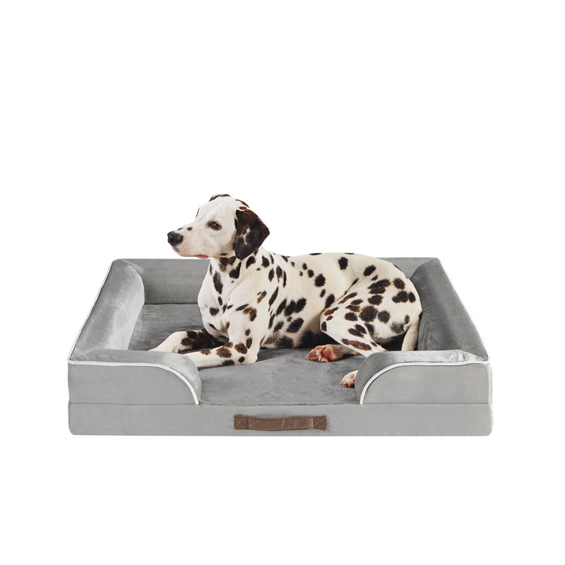 Lit orthopédique pour animaux Canvey, (Grand) l 35 po x P 25 po x H 6,5 po, Gris