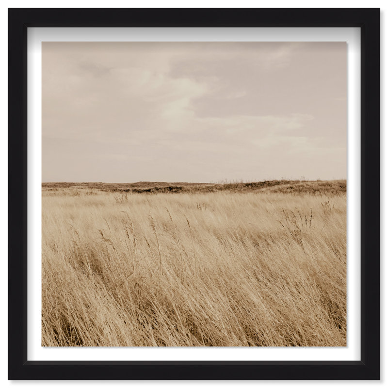 Golden Nature Print by Oliver Gal, 21.5"H x 21.5"W, Black Shadowbox