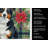 Black Tri American Shepherd Christmas PoinsettIas Kitchen Towel-2080583798