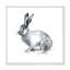 Portrait monochrome de lapin - reproduction sur toile-59707870-59707884