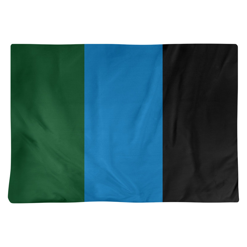 Récapitulatif 18" basket Milwaukee, Vert de Good Land / bleu des Grands Lacs / noir, Sergé de coton