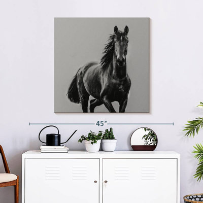 Crowle Monotone Black Horse