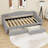 Twin XL Upholstered Daybed with Storage Drawers and LED Light-1435887946