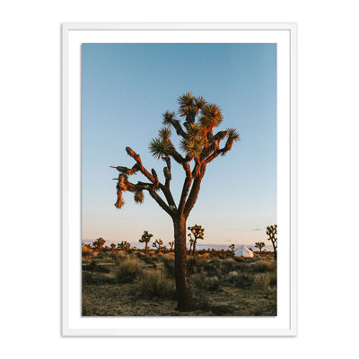 Camp Print by Wesley And Emma Teague