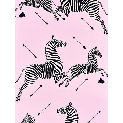 Zebras Roll