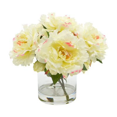 Peonies Arranged in Glass Vase