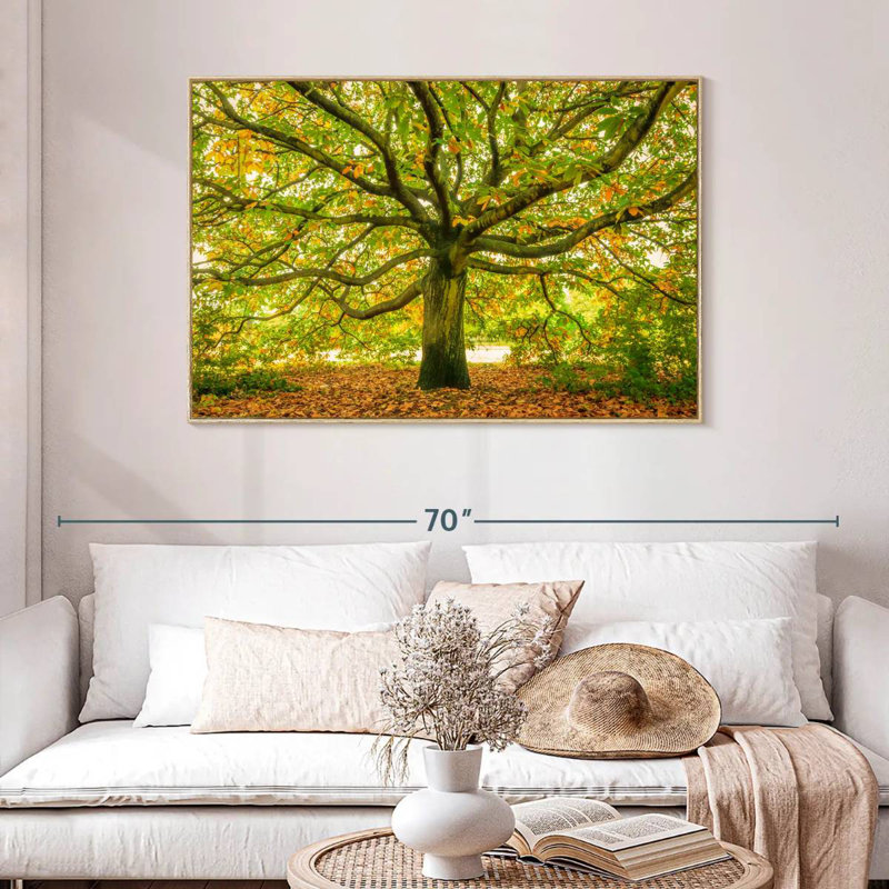 Chêne de Londres, Cadre flottant en bois naturel, 46 po x 31 po