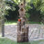 Fontaine d'extérieur à abris pour oiseaux à 3 niveaux, 35 po, brun
