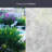 Silver Fern Window Film 24" by 36"