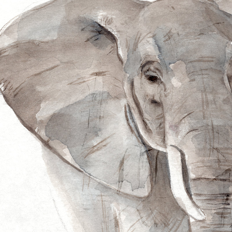 Elephant Grooves II by Annie Warren - Wrapped Canvas Painting, 51cm H x 51cm W