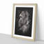 Silverback Gorilla - Picture Frame Graphic Art Print-56857563-56857568
